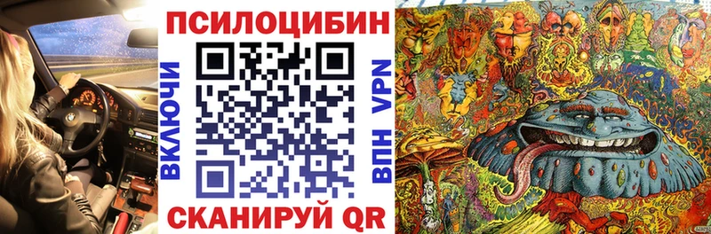 Галлюциногенные грибы GOLDEN TEACHER  сайты даркнета клад  Чекалин 