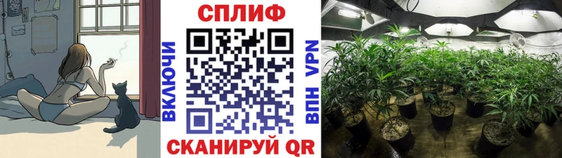 Шишки марихуана OG Kush  сколько стоит  Чекалин 